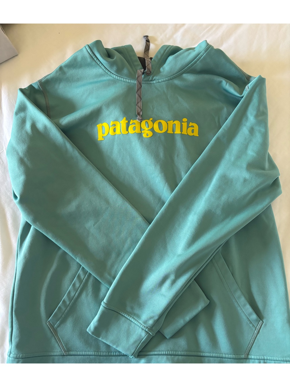Patagonia sweatshirt
